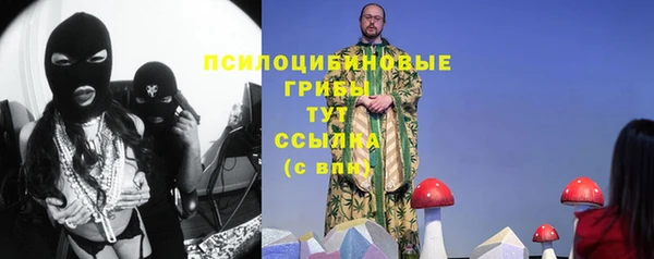 амфетамин Белокуриха