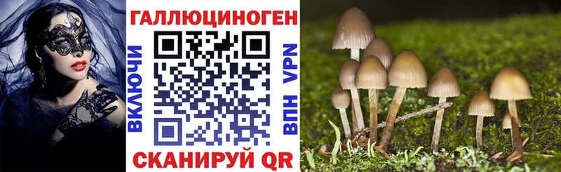 Галлюциногенные грибы Psilocybe  цена   Маркс 