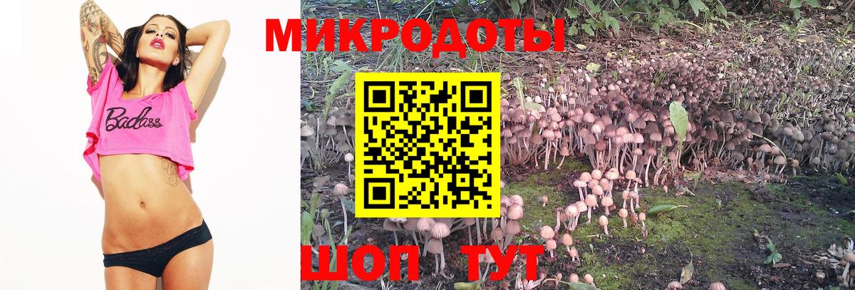Псилоцибиновые грибы Psilocybe Маркс