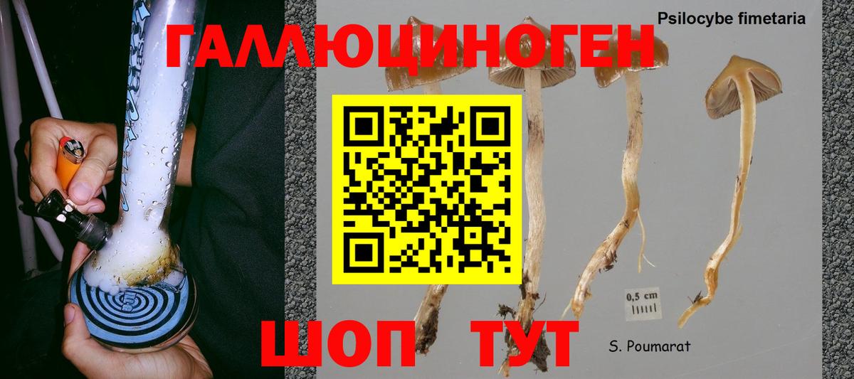 Маркс  Псилоцибиновые грибы Magic Shrooms  Вход с VPN 