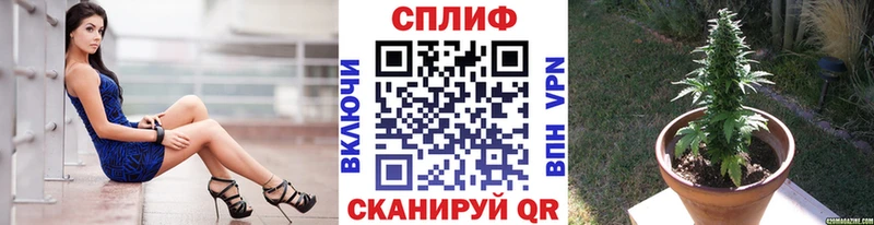 Каннабис OG Kush Маркс